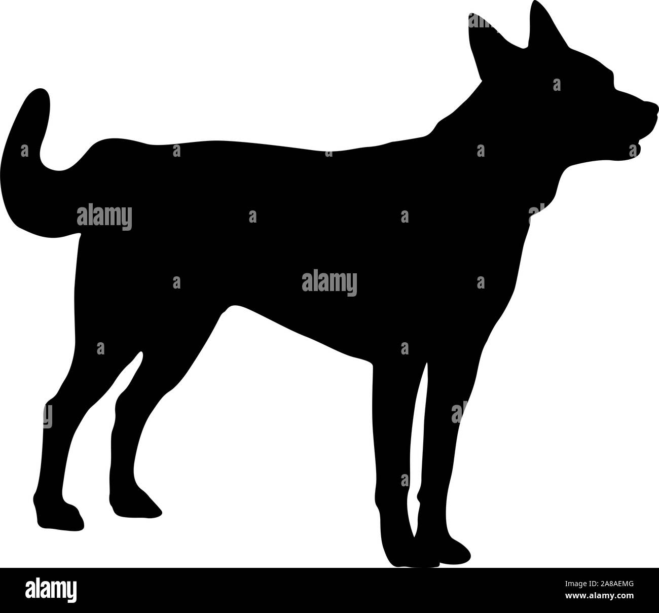 Shepherd Dog silhouette sur un fond blanc. Illustration de Vecteur Shepherd Dog silhouette sur un fond blanc. Illustration de Vecteur