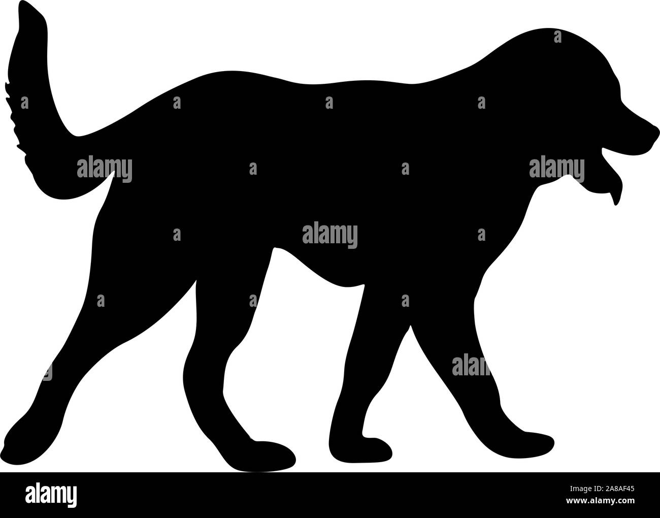 Shepherd Dog silhouette sur un fond blanc. Illustration de Vecteur Shepherd Dog silhouette sur un fond blanc. Illustration de Vecteur