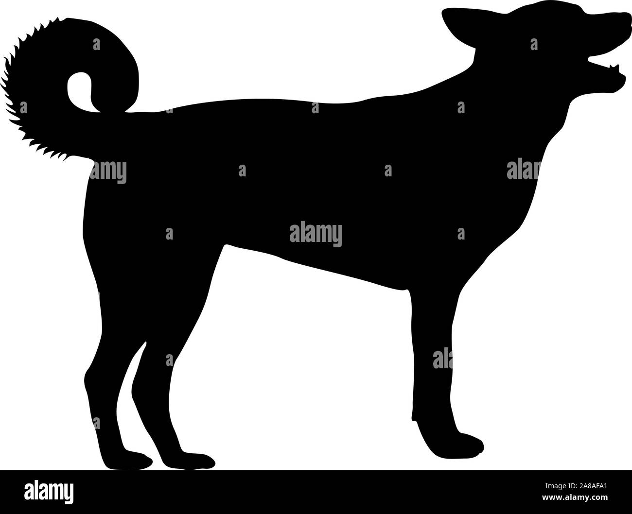 Chien Labrador silhouette sur un fond blanc. Illustration de Vecteur Chien Labrador silhouette sur un fond blanc. Illustration de Vecteur