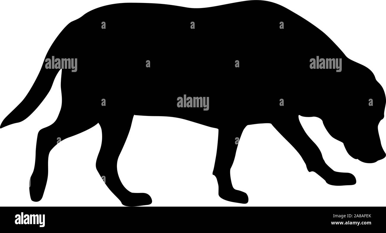 Chien Labrador silhouette sur un fond blanc. Illustration de Vecteur Chien Labrador silhouette sur un fond blanc. Illustration de Vecteur