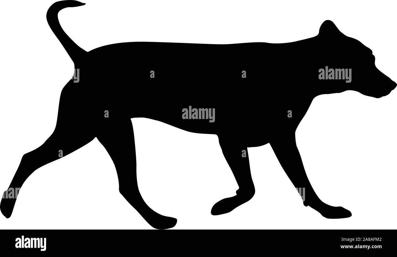 Chien Labrador silhouette sur un fond blanc. Illustration de Vecteur Chien Labrador silhouette sur un fond blanc. Illustration de Vecteur