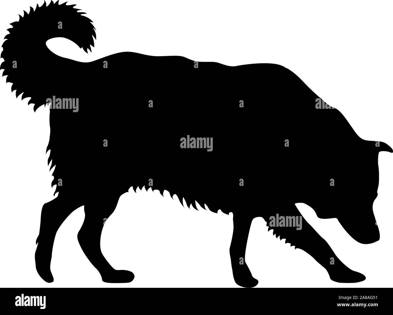 Collie dog silhouette sur un fond blanc. Illustration de Vecteur Collie dog silhouette sur un fond blanc. Illustration de Vecteur