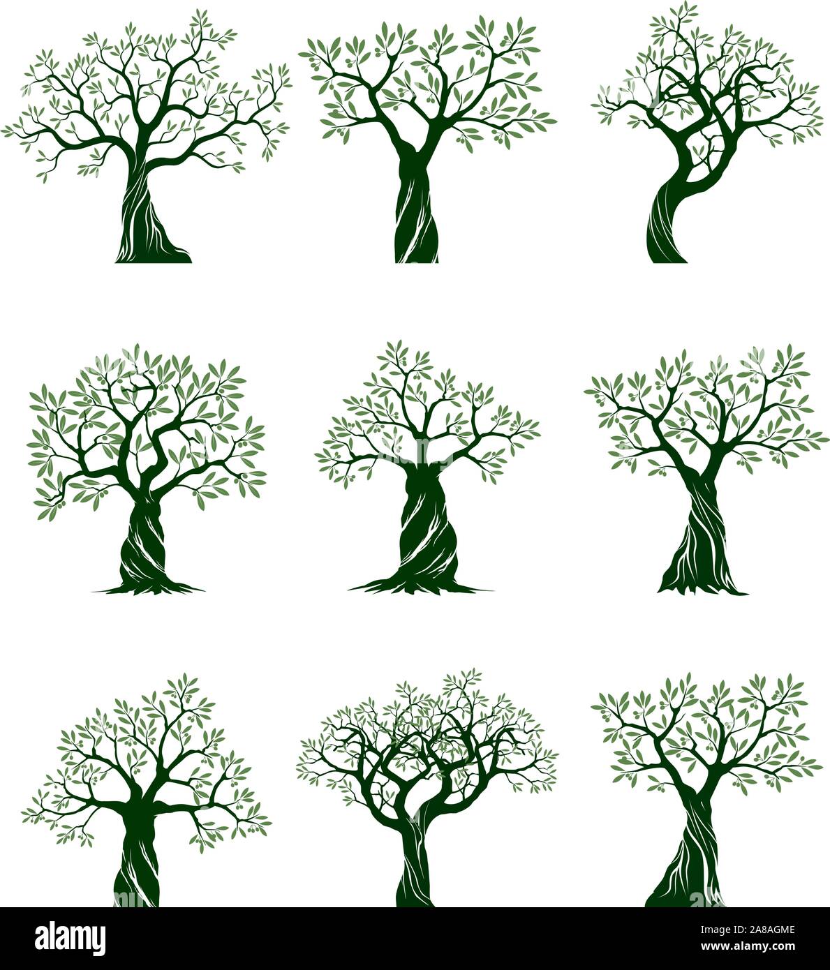 Ensemble d'arbres d'Olive vert isolés sur fond blanc. Illustration vectorielle et concept pictogramme. Plante dans le jardin. Illustration de Vecteur