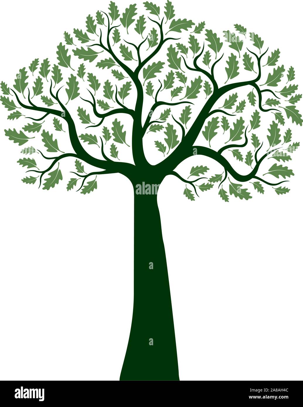Arbre de chêne vert isolés sur fond blanc. Illustration vectorielle et concept. Plante dans le jardin. Illustration de Vecteur