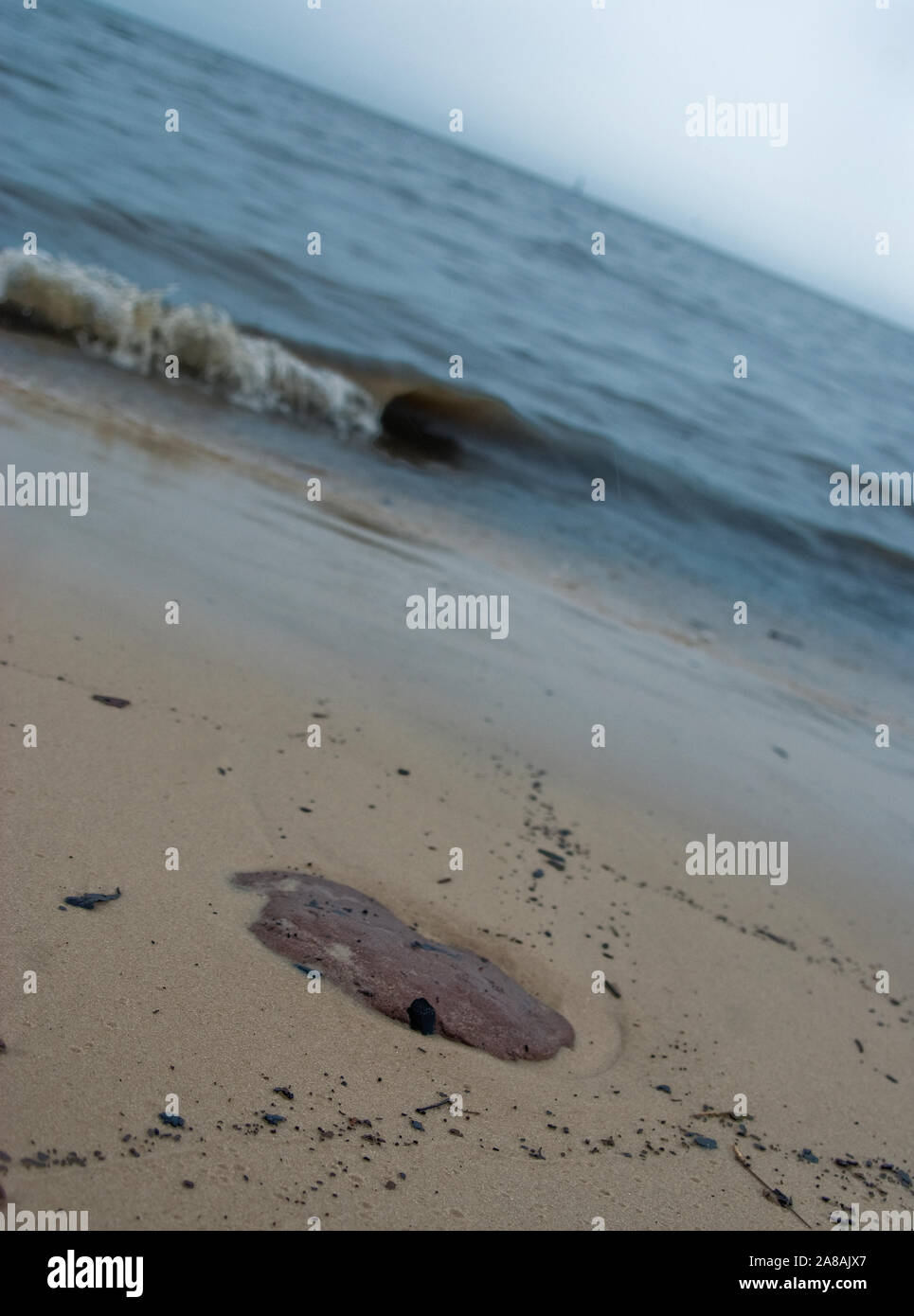 Un tar patty d'huile repose sur la plage après le déversement de pétrole de BP à Gulfport, Mississippi, le 30 juin 2010. Banque D'Images