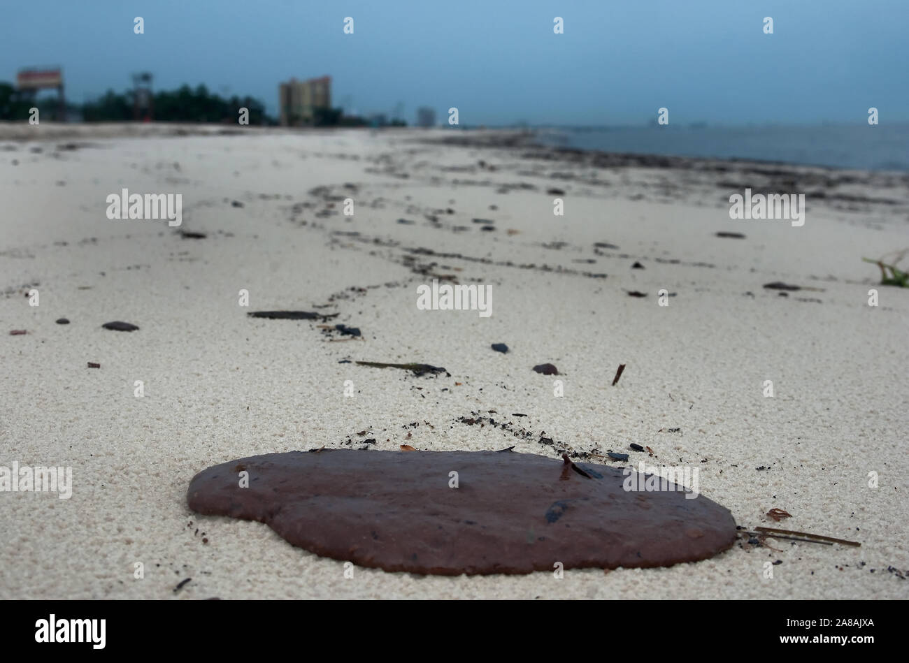 Un tar patty d'huile repose sur la plage après le déversement de pétrole de BP à Gulfport, Mississippi, le 30 juin 2010. Banque D'Images
