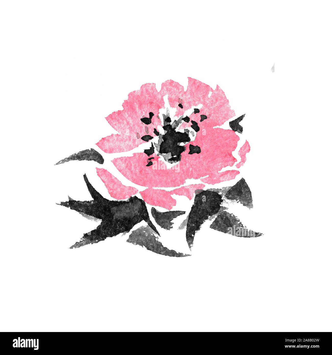 Fleur exotique rose aquarelle dessin à la main illustration Banque D'Images
