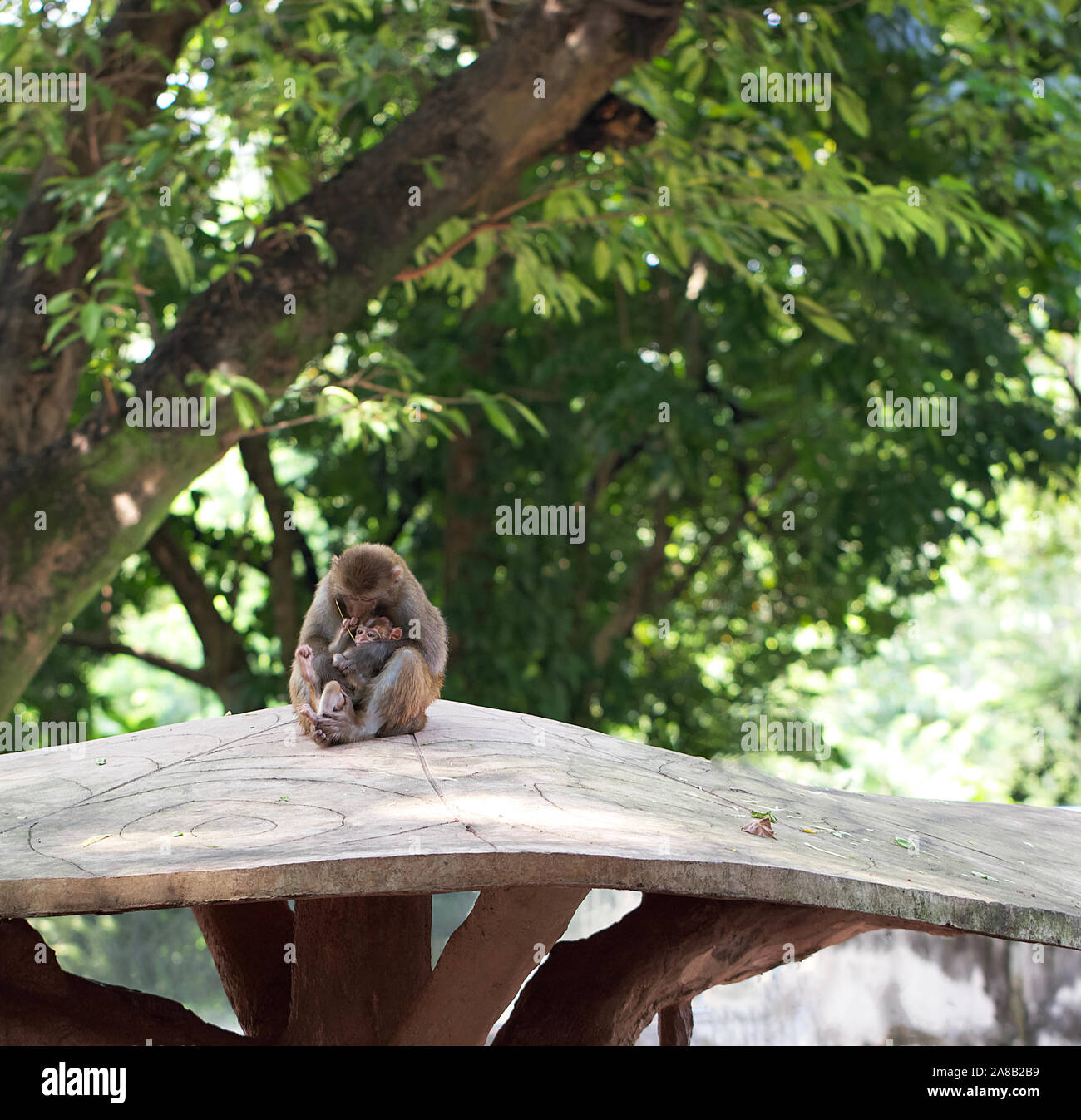 Bébé soins mère Banque D'Images