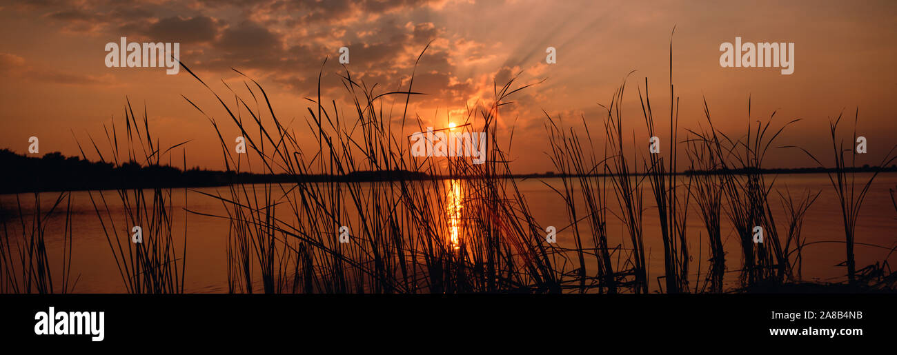 Coucher de soleil sur un lac, le lac Travis, Austin, Texas Banque D'Images