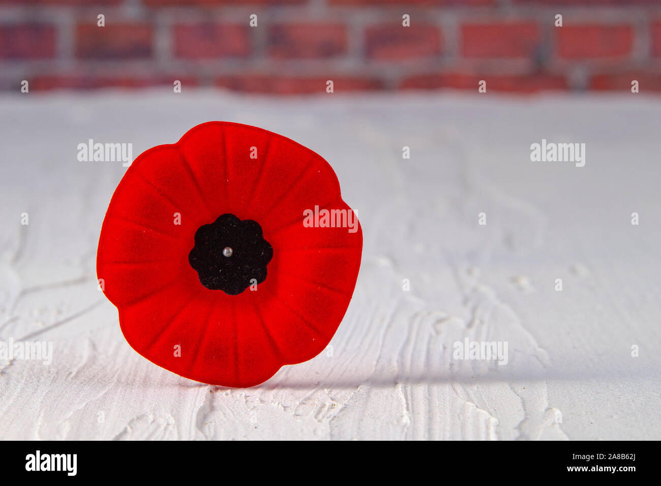 Le Jour du Souvenir Coquelicot avec un fond brinks Banque D'Images