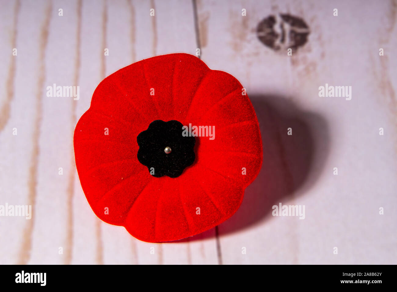 Le Jour du Souvenir Coquelicot avec un fond de bois Banque D'Images
