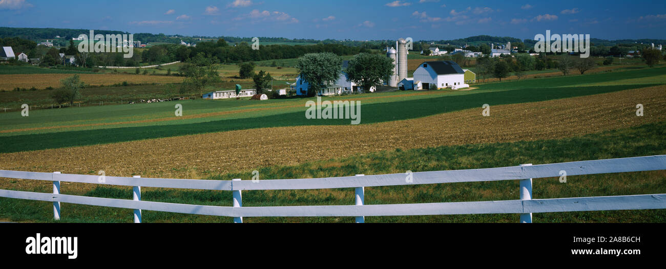 Ferme dans un champ, les fermes amish, comté de Lancaster, Pennsylvanie, USA Banque D'Images