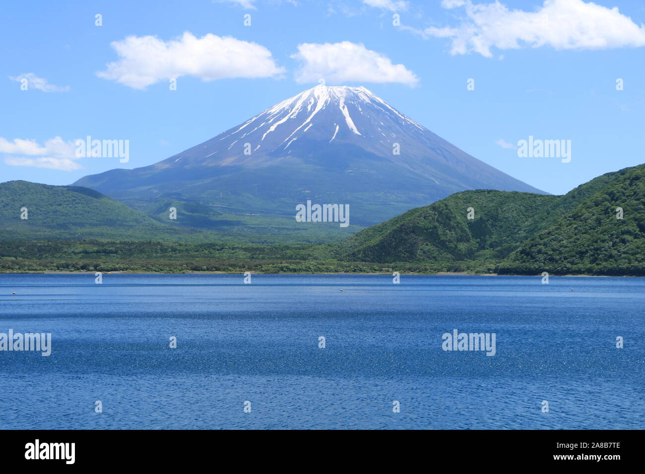 Mt. Fuji depuis le lac Motosu Banque D'Images
