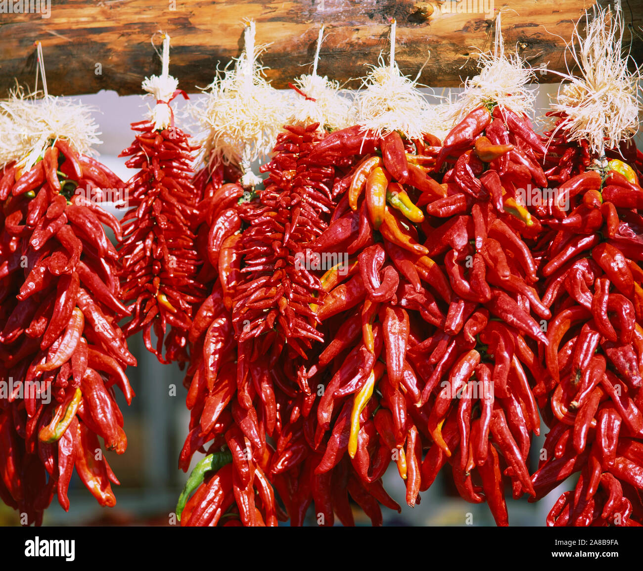 Red Chili Peppers hanging on a log, Taos, Taos County, Nouveau Mexique, USA Banque D'Images