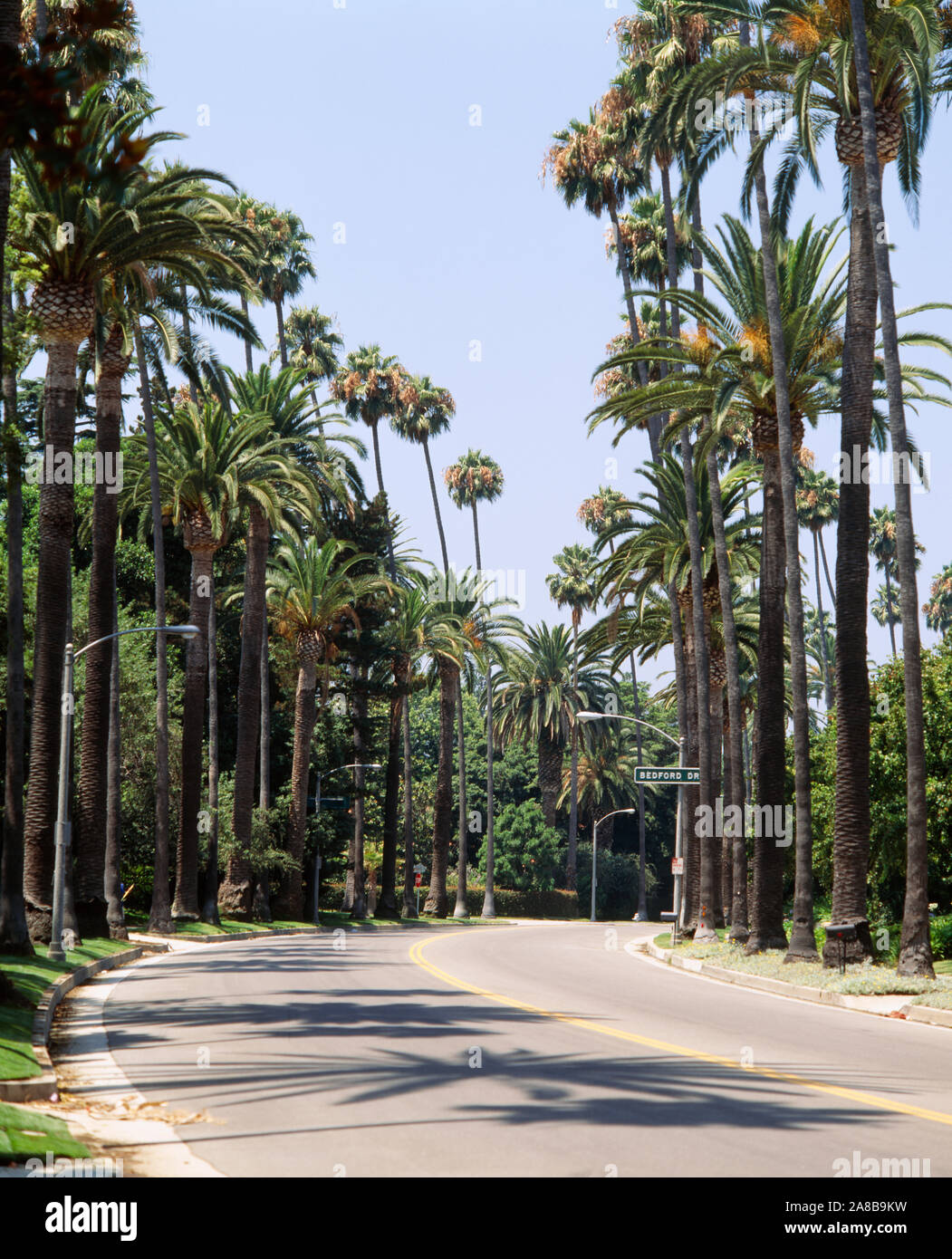 Palmiers le long d'une route, ville de Los Angeles, Californie, USA Banque D'Images