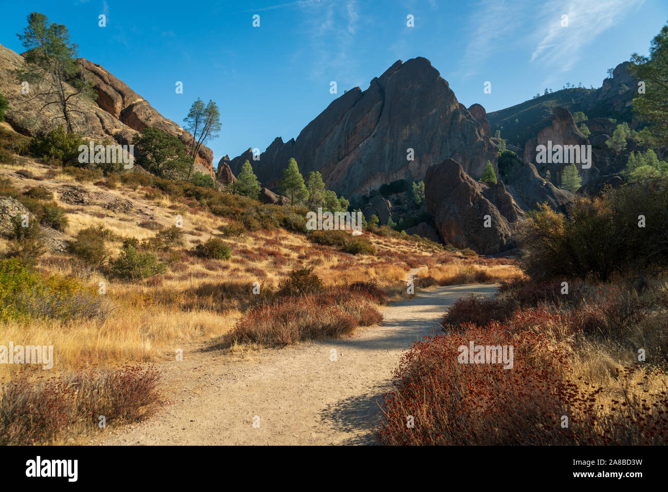 Pinnacles National Park en Californie Banque D'Images