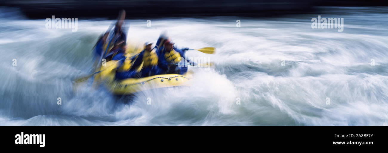 Les touristes dans la rivière rafting, Snake River, Wyoming, USA Banque D'Images