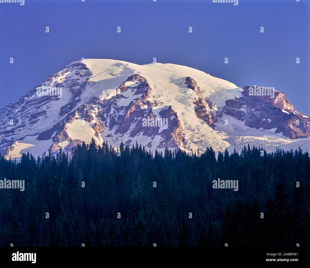 Les glaciers sur le Mont Rainier, Mt Rainier National Park, Washington State, USA Banque D'Images