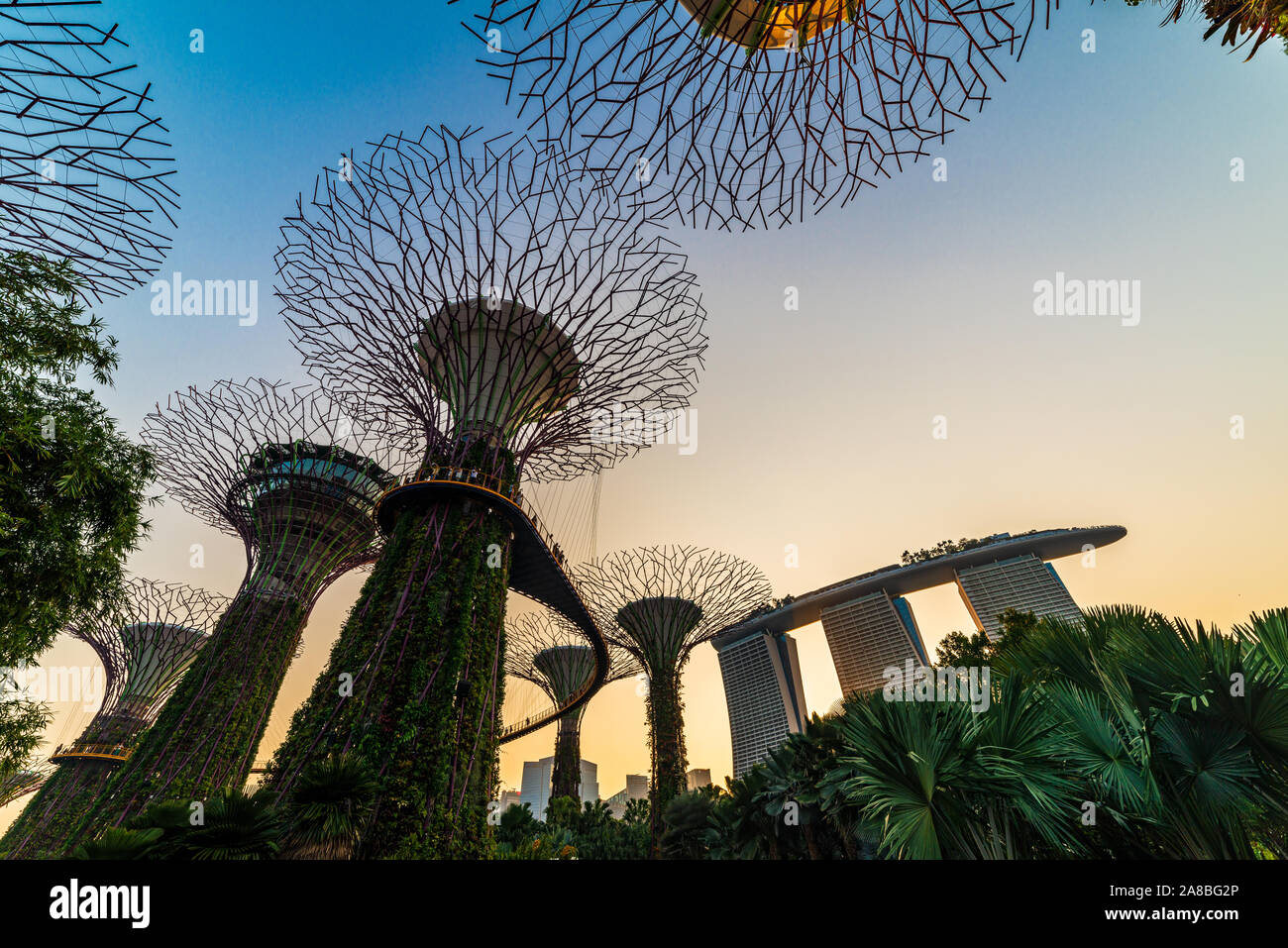 L'Asie du Sud Est, Singapour, célèbre par La Baie Jardin destinations tourisme voyage attraction touristique Supertree Grove pendant blue Banque D'Images