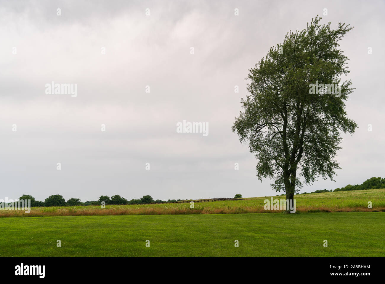 Wilson's Creek National Battlefield, dans les Ozarks, Missouri Banque D'Images