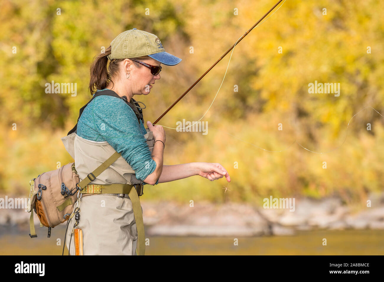 Une femme tient son voler comme elle voler sur la Powder River poissons sous le soleil d'après-midi d'automne. Banque D'Images