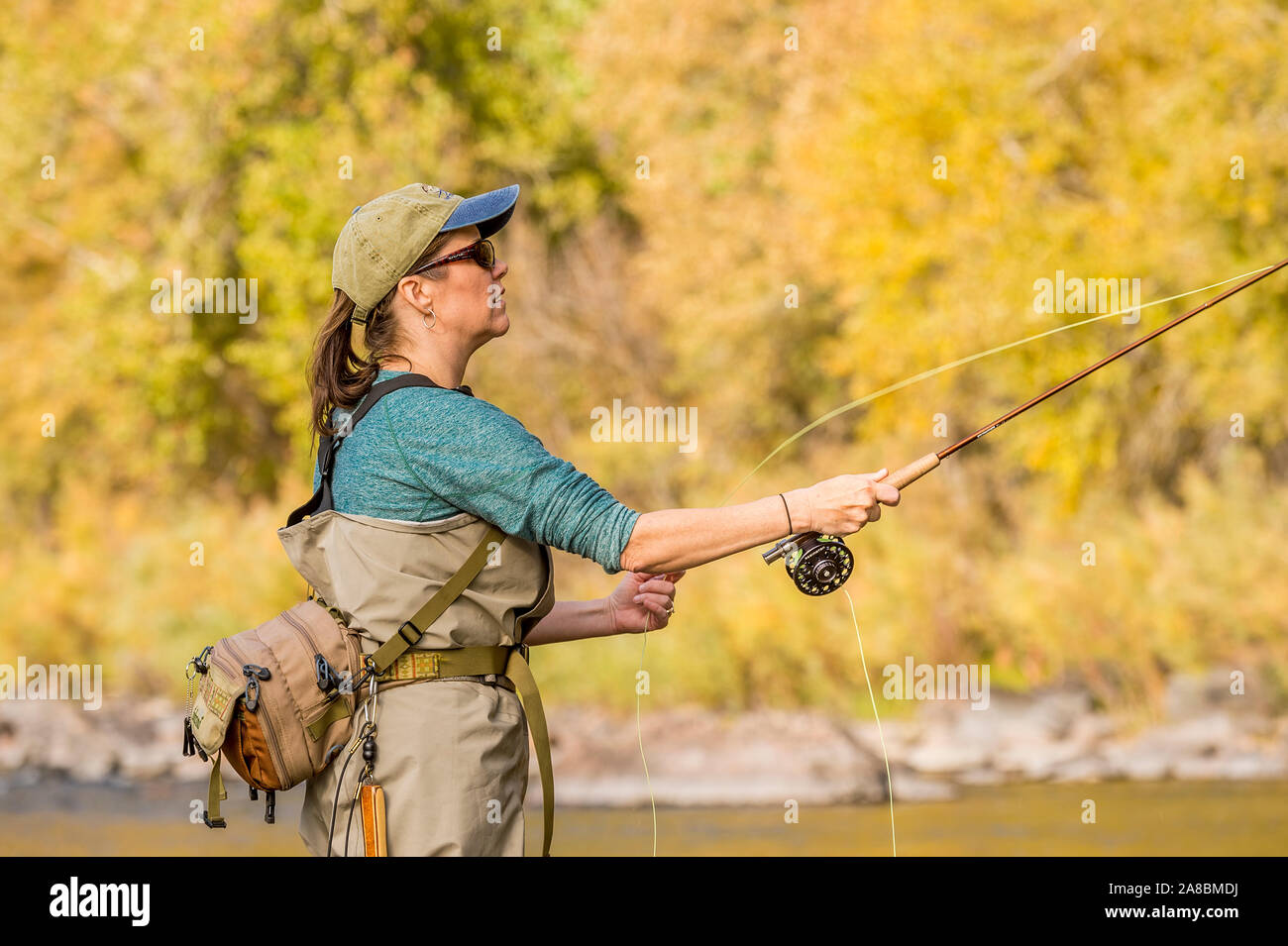 Une femme sur les poissons voler Powder River sur un après-midi d'automne ensoleillé. Banque D'Images