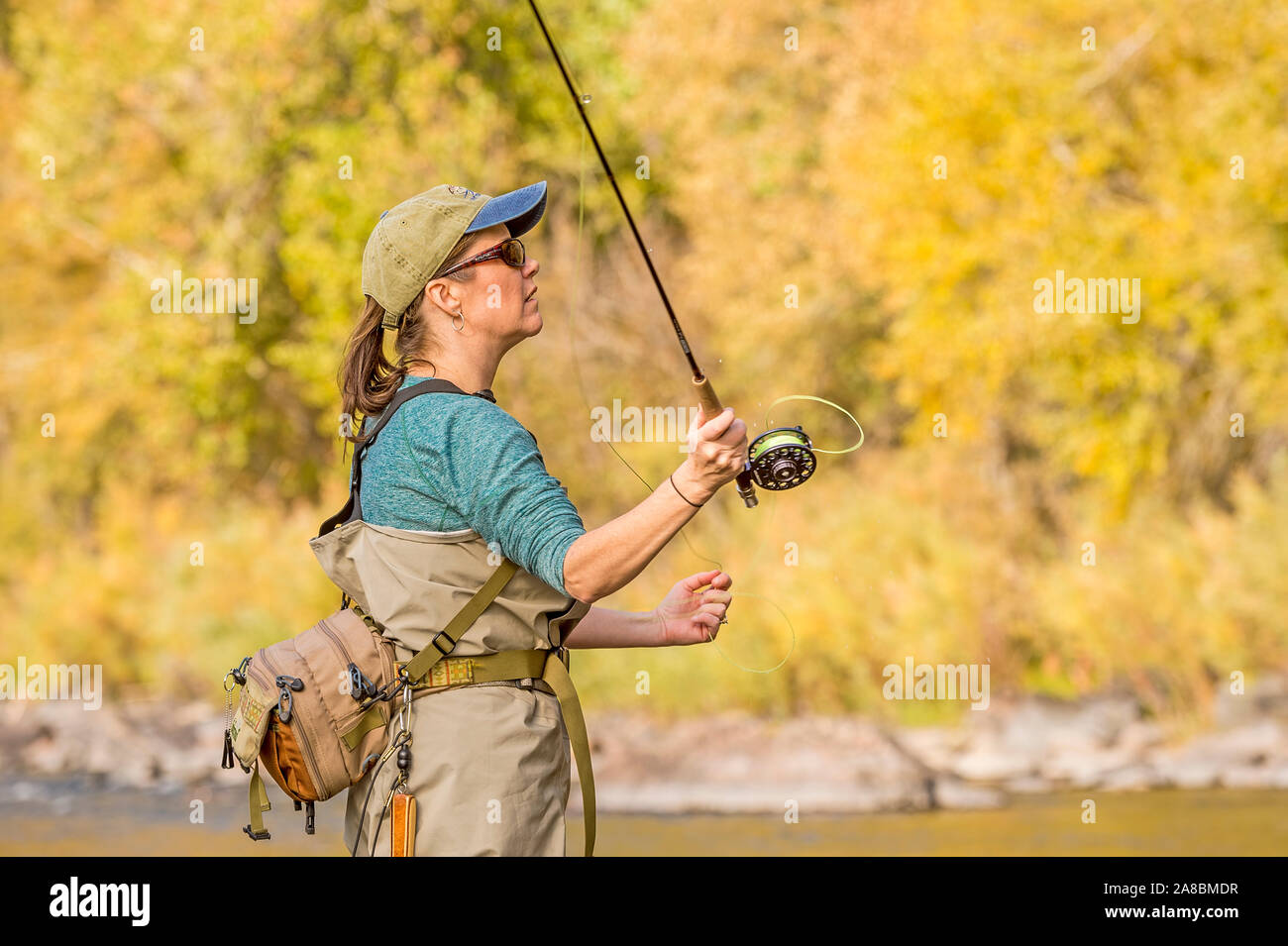 Une femme sur les poissons voler Powder River sur un après-midi d'automne ensoleillé. Banque D'Images