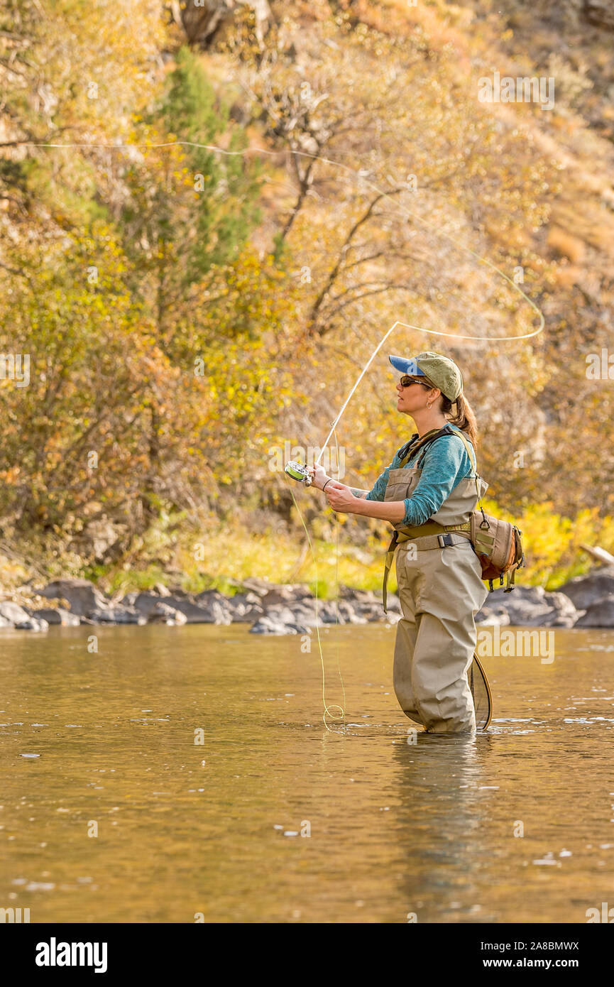 Une femme sur les poissons voler Powder River sur un après-midi d'automne ensoleillé. Banque D'Images