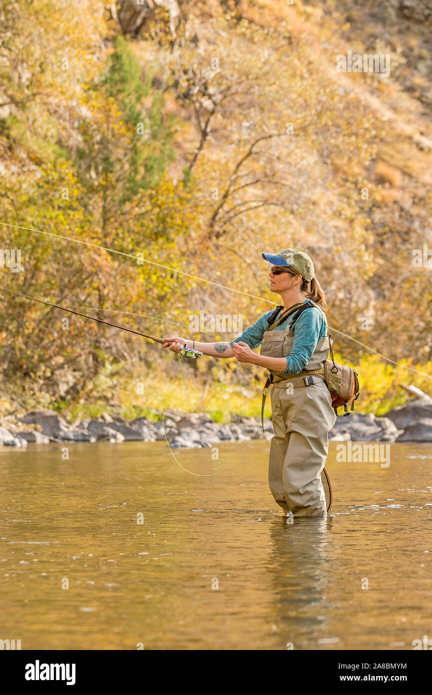 Une femme sur les poissons voler Powder River sur un après-midi d'automne ensoleillé. Banque D'Images