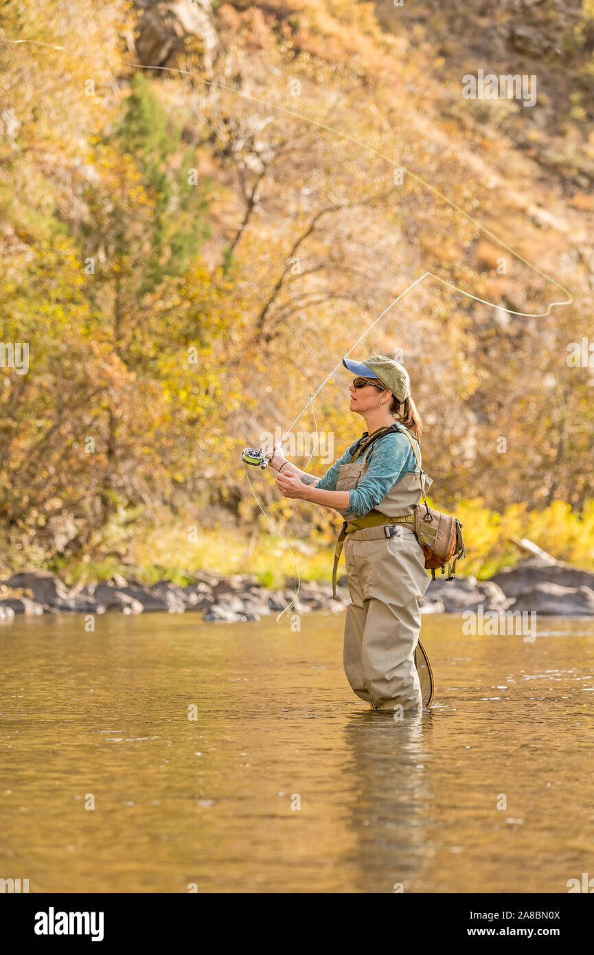 Une femme sur les poissons voler Powder River sur un après-midi d'automne ensoleillé. Banque D'Images