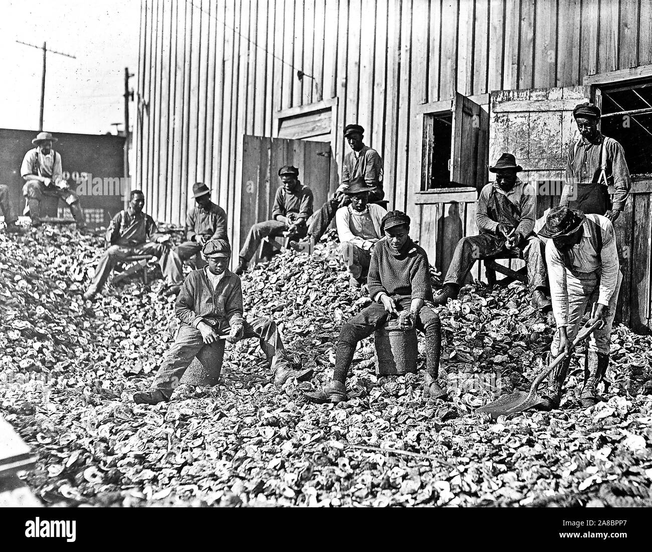 À aux meilleurs ouvreurs, Apalachicola en Floride, ce travail est effectué par de nombreux jeunes garçons pendant la haute saison, Janvier 1909 Banque D'Images