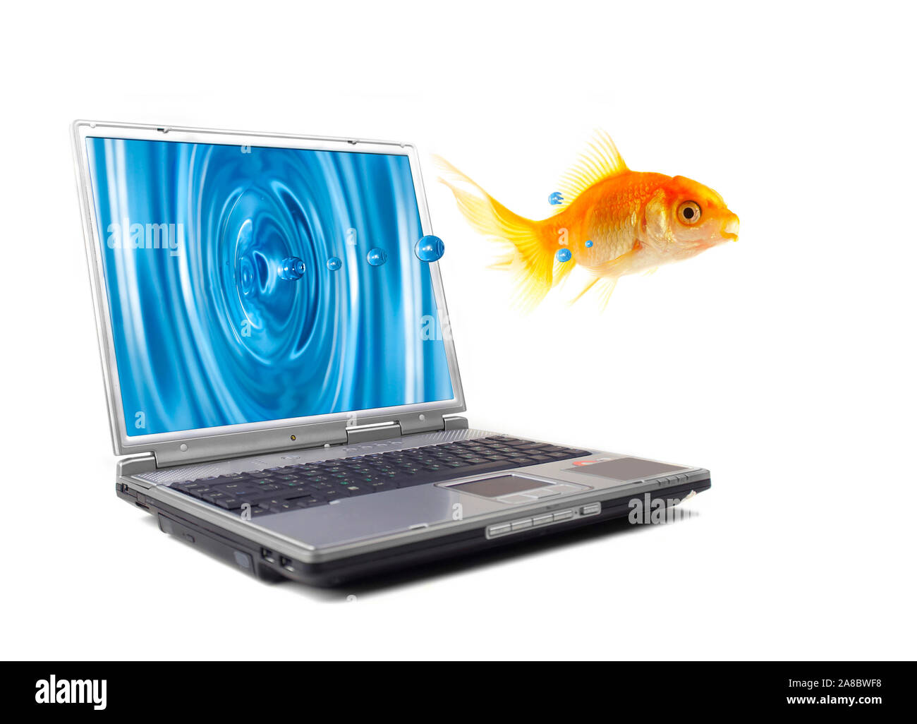 Goldfisch springt aus dem surveiller eines Computers Banque D'Images