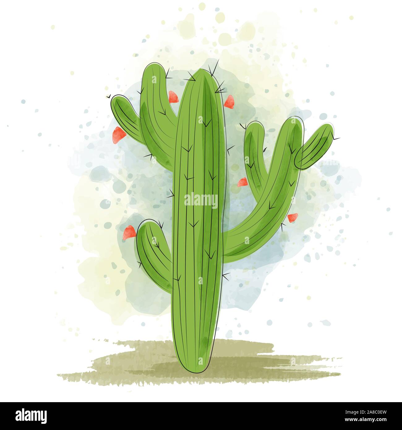 Fleurs de cactus à l'aquarelle. Plante succulente. Illustration de Vecteur