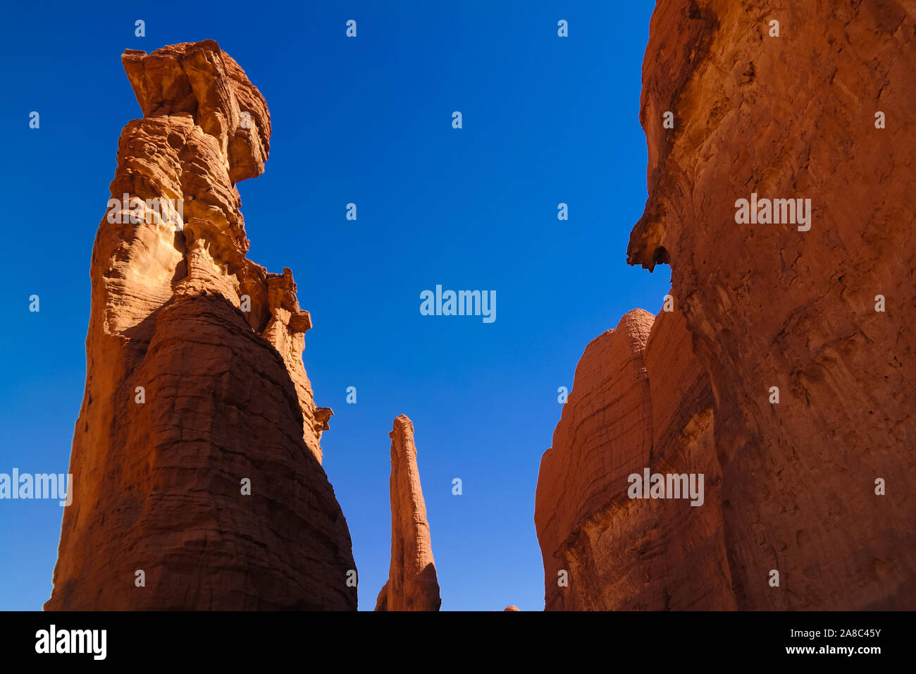 Vue de bas en haut à l'abstrait Rock formation sur le plateau l'Ennedi aka stone forest , Tchad Banque D'Images