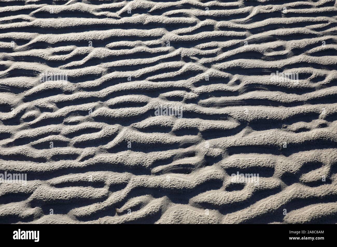 Ondulations dans le sable dans les vasières à marée basse, côte de la mer du Nord, Schleswig-Holstein, Allemagne Banque D'Images