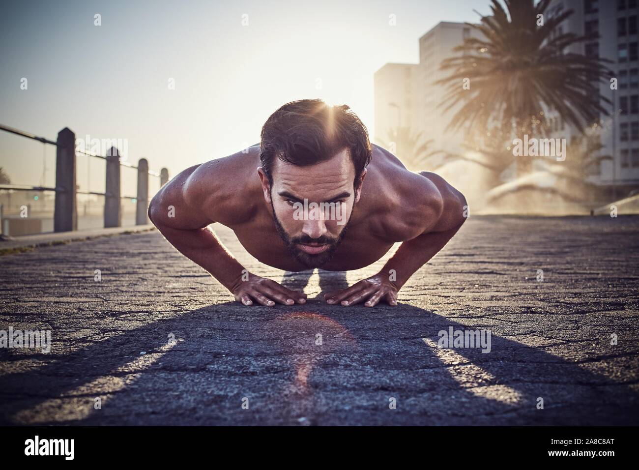 Jeune homme de la formation, de faire des tractions, sports de plein air, la gymnastique, Le Cap, Afrique du Sud Banque D'Images