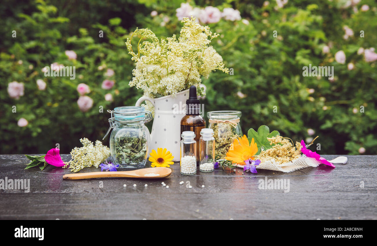 La médecine homéopathique comprimés sur la table de bois, dans les globules de pots et de cuillère en bois, décoré avec des produits frais et diverses herbes sèches à l'extérieur en été, g Banque D'Images
