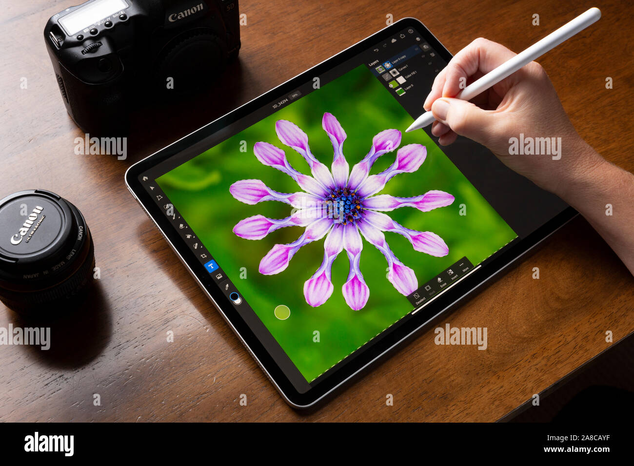 BATH, Royaume-Uni - 7 novembre, 2019 : portrait d'une femme à l'aide d'un iPad Pro équipé de l'iOS App Adobe Photoshop pour faire une sélection d'un Osteospe Banque D'Images