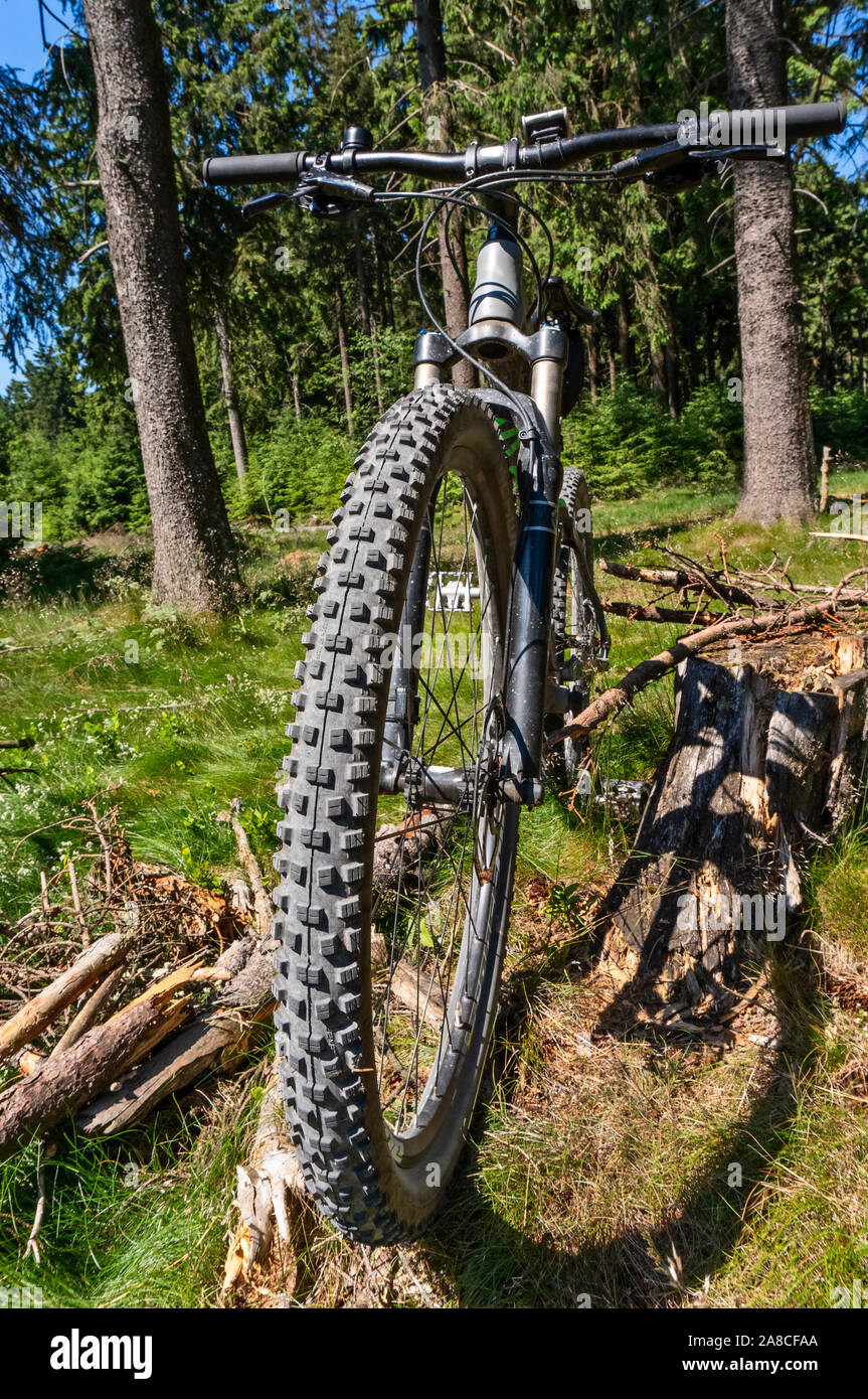 Vtt dans les bois avec l'accent sur la pression des pneus et le profil de la roue avant Banque D'Images
