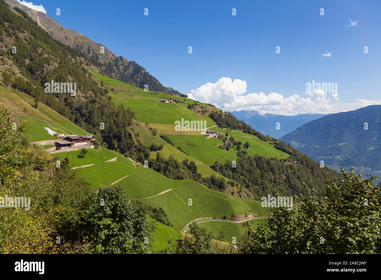 Scène Alpine, le Tyrol du Sud, Italie Banque D'Images