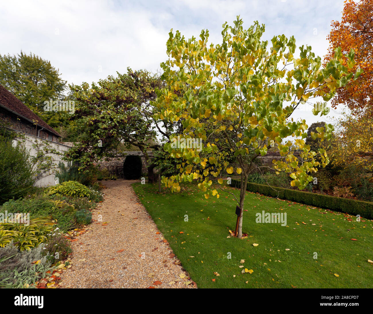 Vue sur Jardin, maîtres à l'Hôpital de St Croix, Winchester Banque D'Images