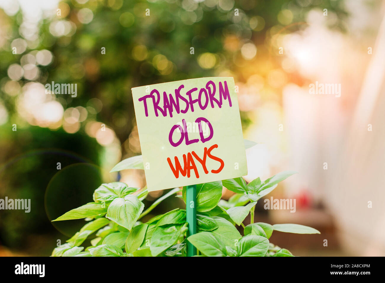 Texte de l'écriture l'écriture de transformer les vieilles manières. Photo conceptuelle la remplacer par de nouvelles méthodes alternatives nouvelle solution papier vide ordinaire fixée à un st Banque D'Images