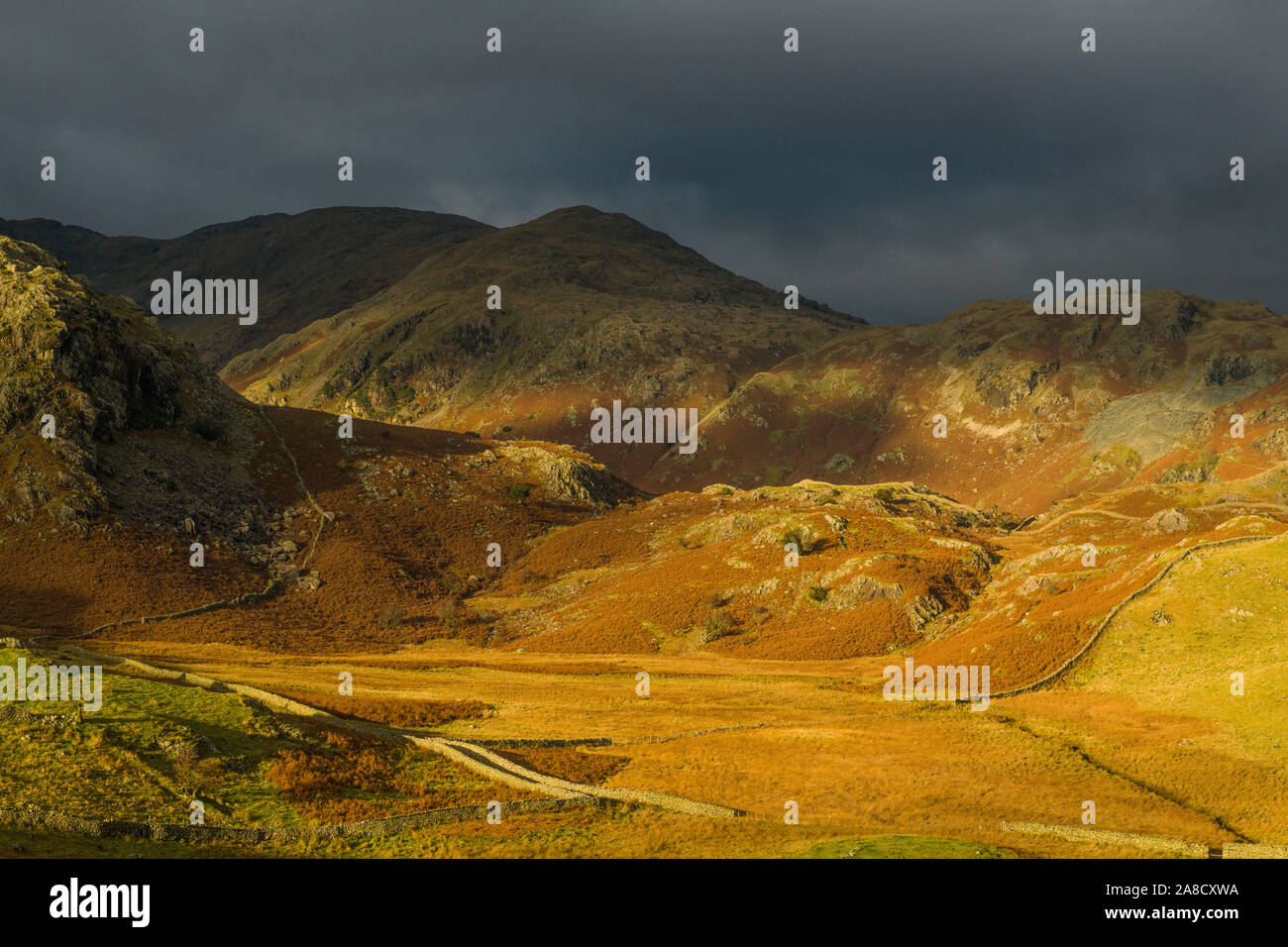 Soleil et ombre tombant sur la lande de Coniston en automne dans le Parc National de Lake District en Cumbrie, au nord ouest de l'Angleterre. L'éclairage est dramatique. Banque D'Images