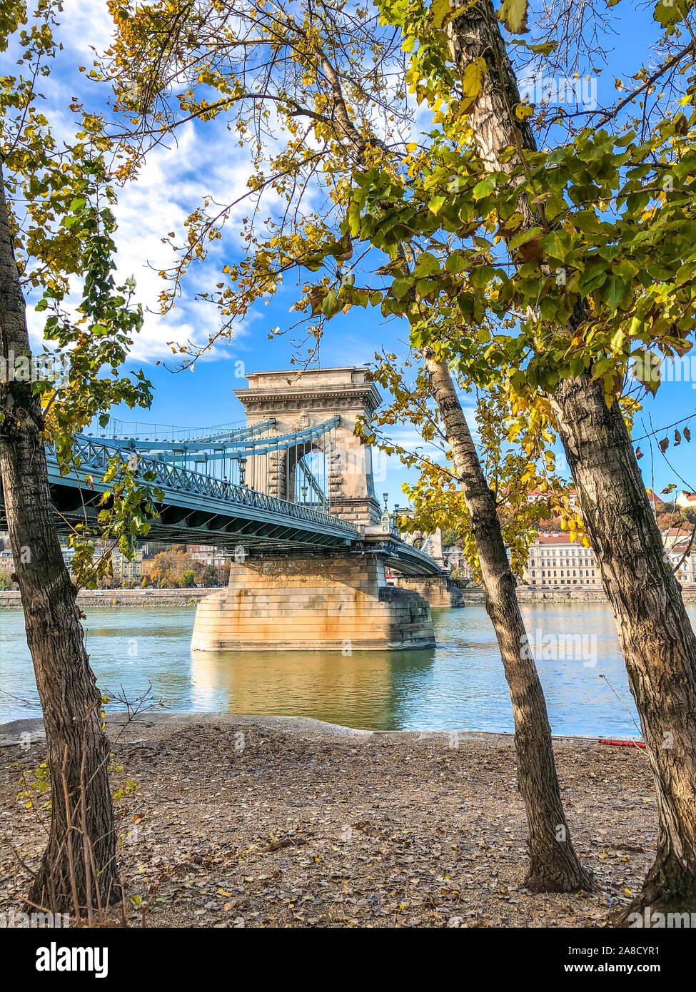 Photo verticale du célèbre Pont des chaînes Széchenyi à Budapest, Hongrie prises à l'automne les arbres dans les rives du Danube. Chaîne magnifique pont reliant Buda et Pest de la capitale hongroise. Banque D'Images