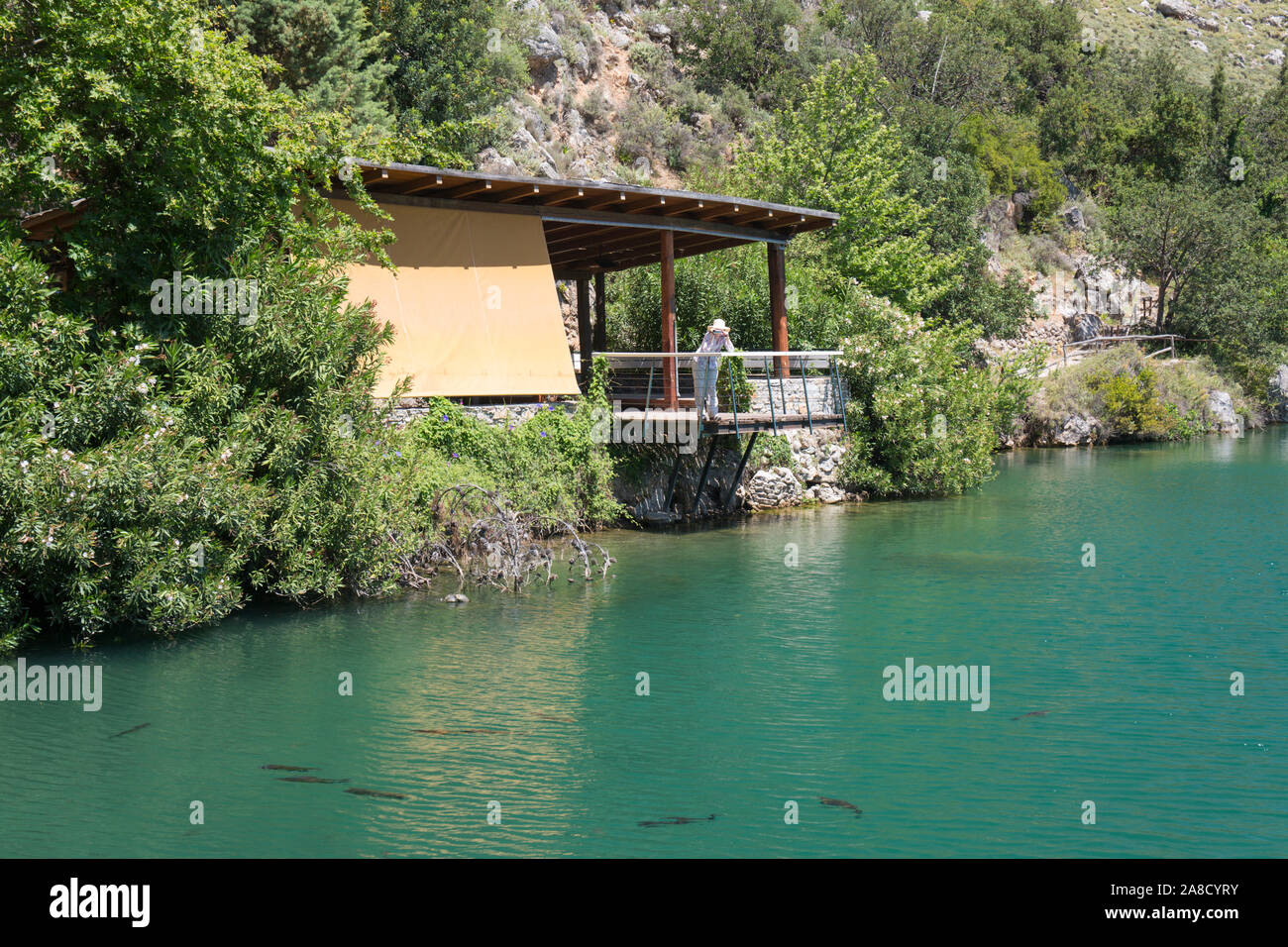 Zaros, Héraklion, Crète, Grèce. L'observation d'une truite dans les eaux émeraude du lac de Votomos. Banque D'Images