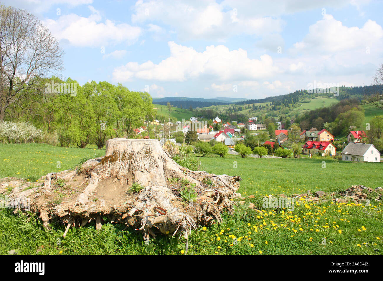 Un village de Pologne. Komancza dans la Voïvodie des Basses-carpates Banque D'Images