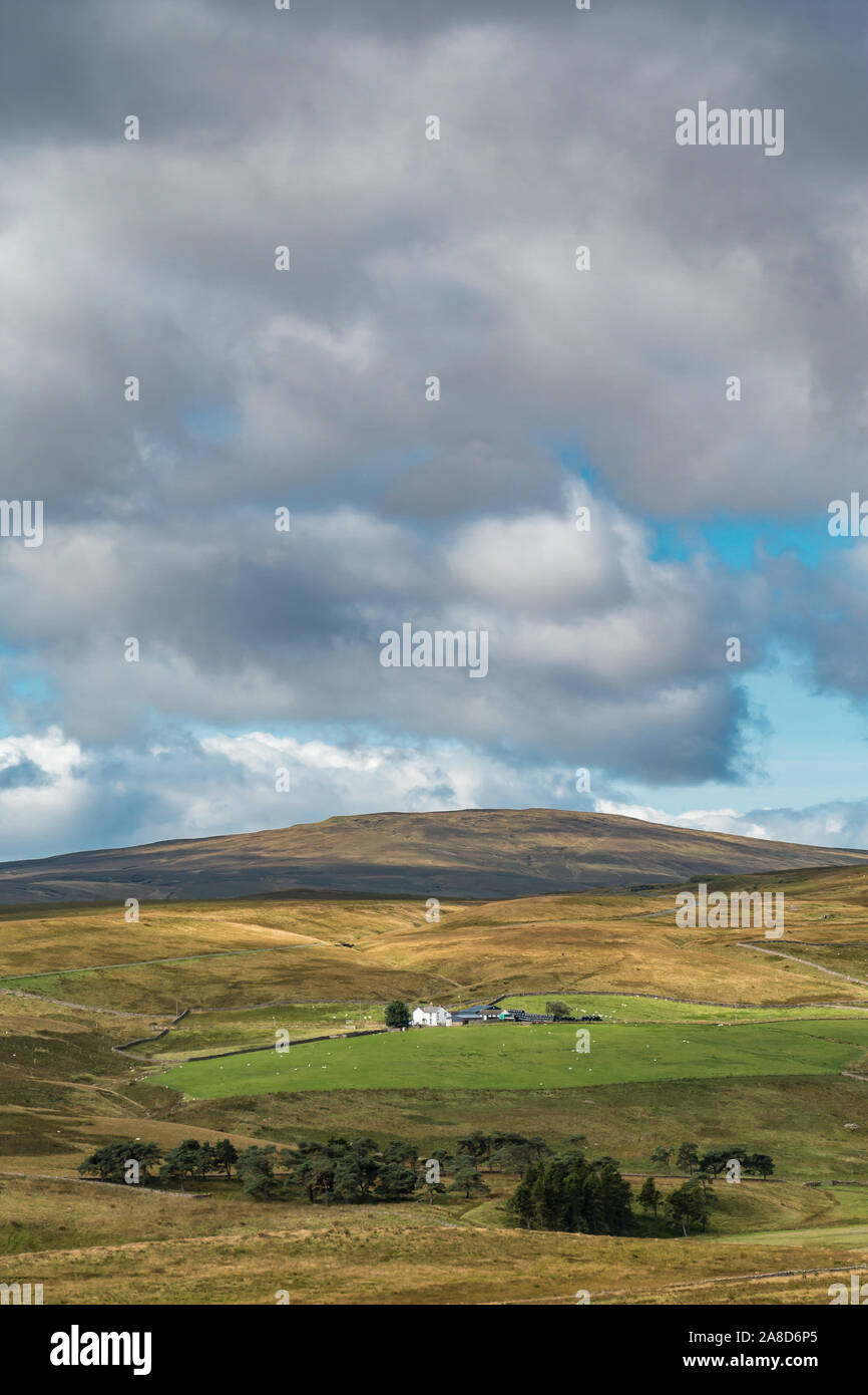 L'isolement d'Peghorn Lodge Farm avec Meldon Hill à la hausse dans l'arrière-plan, Harwood, Teesdale Banque D'Images