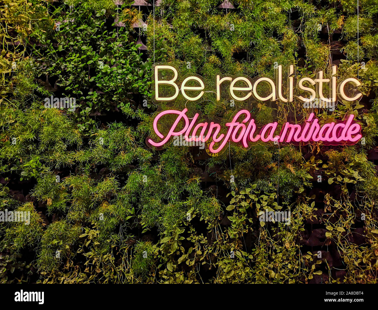 Etre Realiste D Un Plan Pour Un Miracle Quote Neon Cool Citation Inspirante Photo Stock Alamy