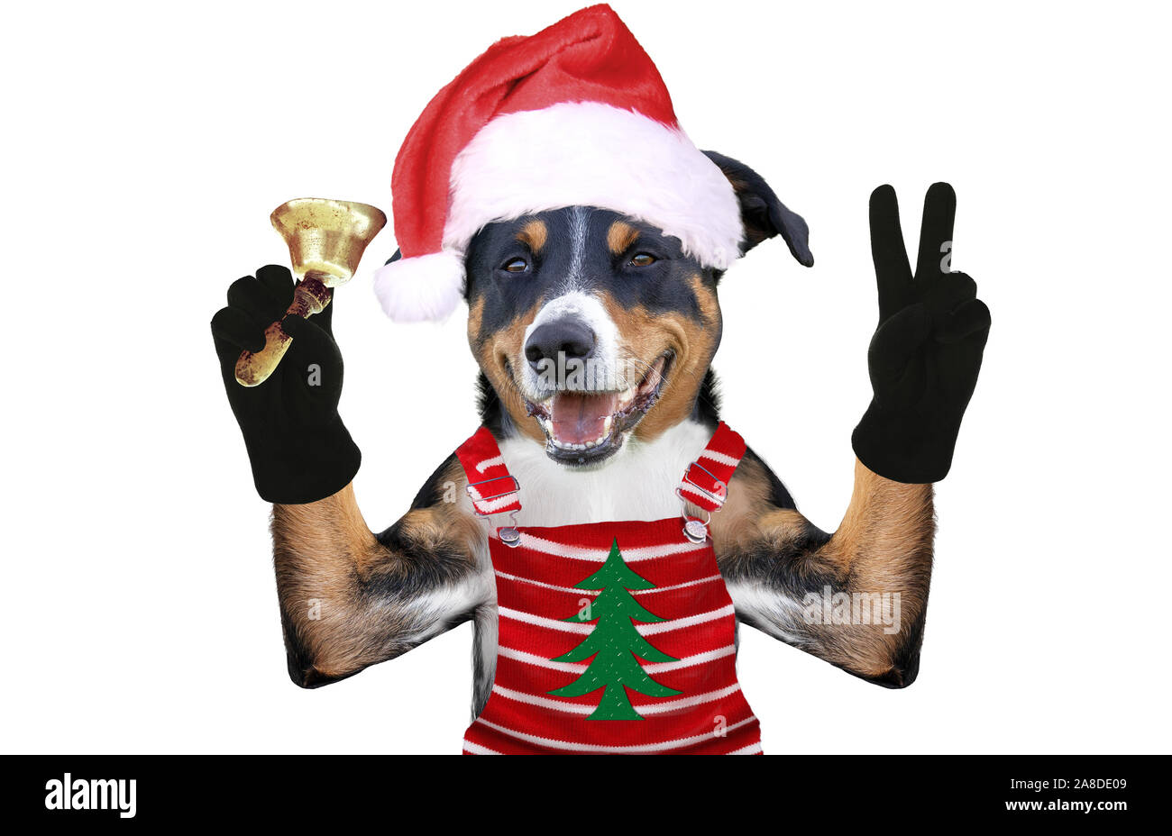 Xmas dog in Santa's dress et une cloche de Noël Banque D'Images