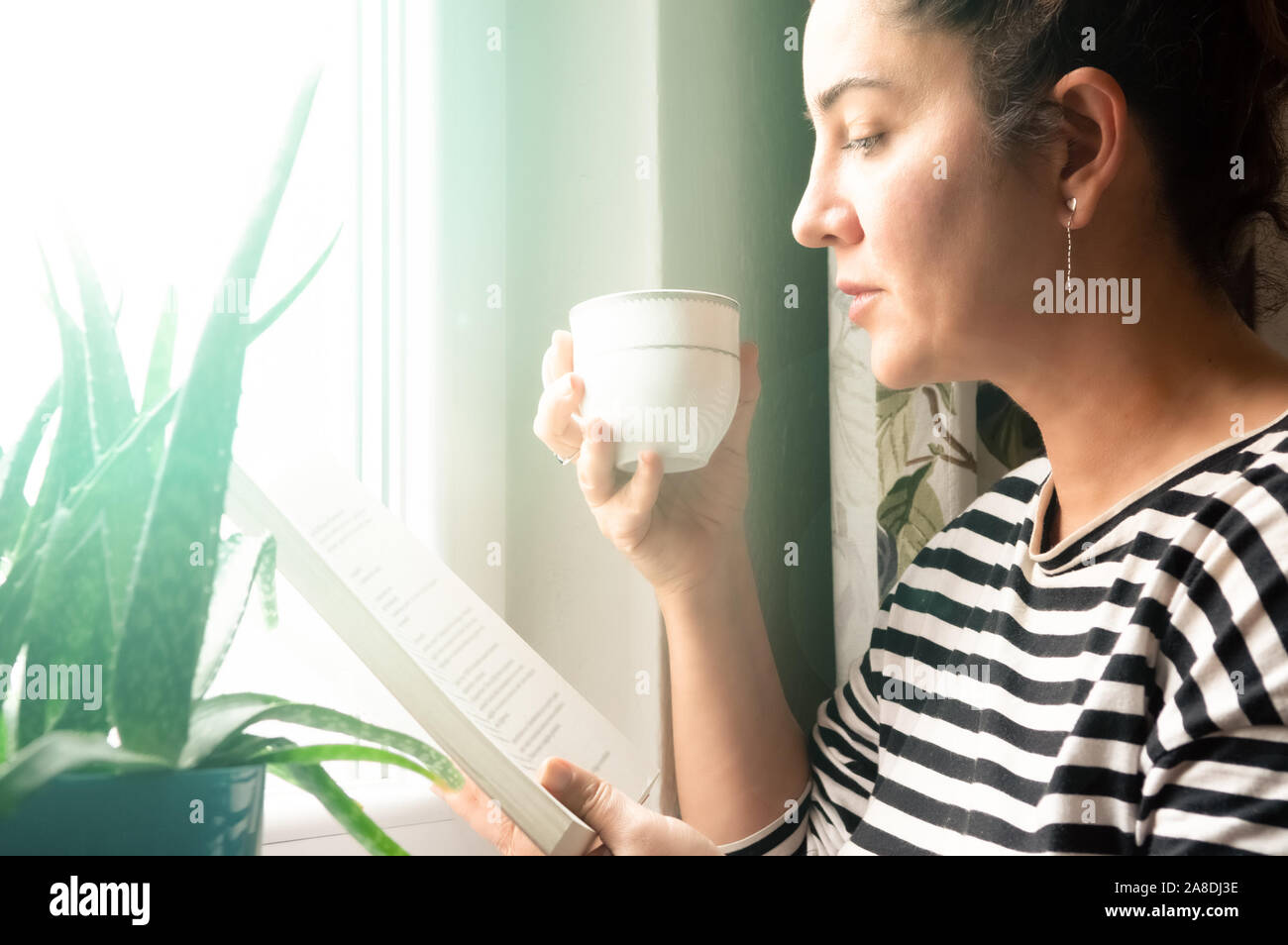 Portrait d'une charmante femme brune adultes portant des vêtements décontractés de lire un livre et boire un café ou un thé près de la fenêtre à la maison. Lifest Loisirs Banque D'Images
